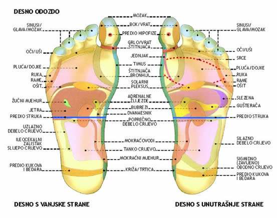 refleksne točke na stopalima